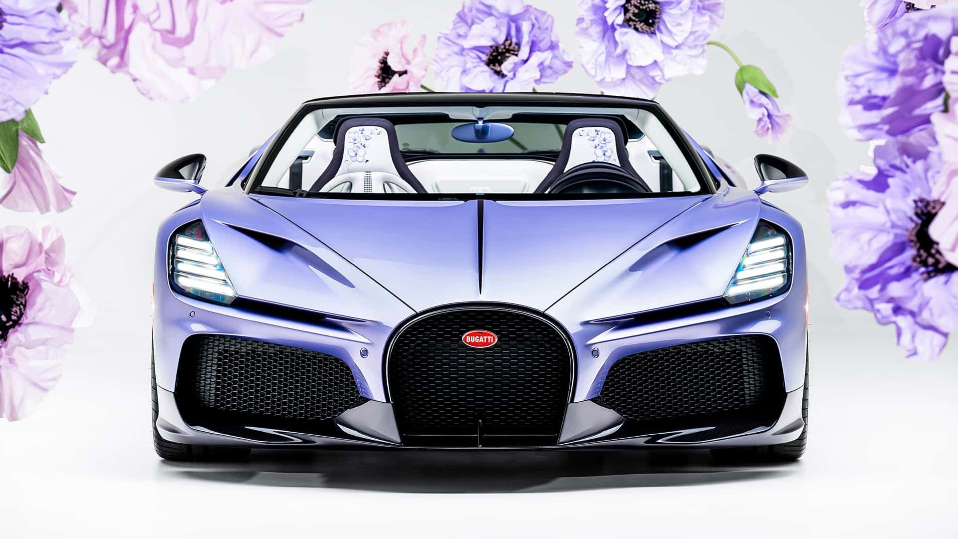 Bugatti W16 Mistral "Caroline" (2026) Bugatti W16 Mistral "Caroline" (2026)
