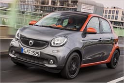 Hunde-Sitze? Ja die gibt es wirklich - im Smart Forfour Hunde-Sitze? Ja die gibt es wirklich - im Smart Forfour