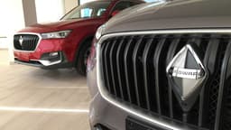 Exclusivo: los primeros Borgward llegaron a la Argentina Exclusivo: los primeros Borgward llegaron a la Argentina