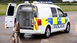 Volkswagen Caddy police dog van Volkswagen Caddy police dog van