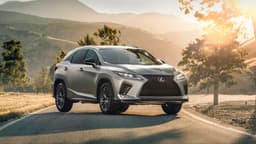 2020 Lexus RX 2020 Lexus RX