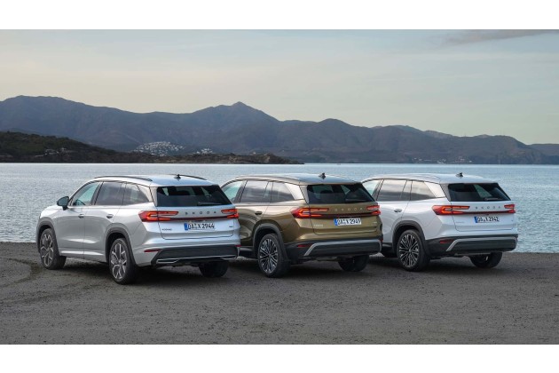 Skoda Kodiaq 2024 im Test